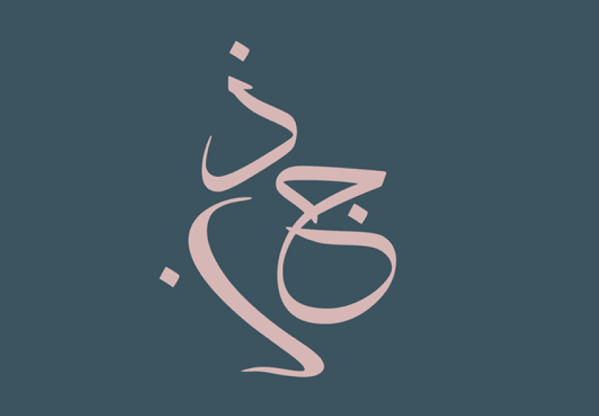 JZab Therapy & Admin Portal